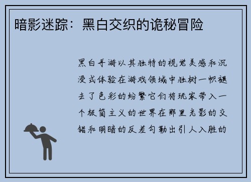 暗影迷踪：黑白交织的诡秘冒险